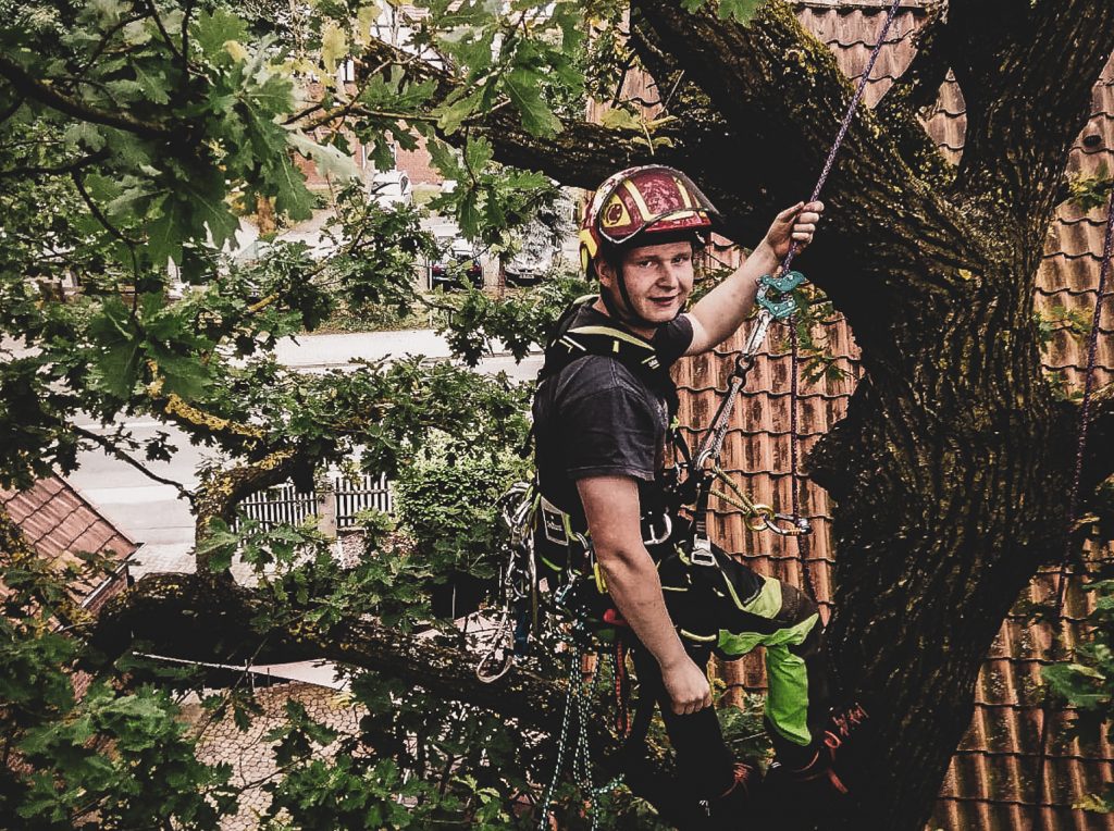 644a3d54-512d-46f1-b263-b265eff09724-2